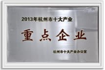 杭州市十大企业重点企业