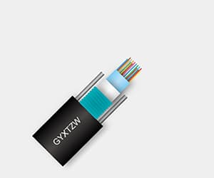 松套层绞式金属加强金属铠装光缆(GYXTZW)